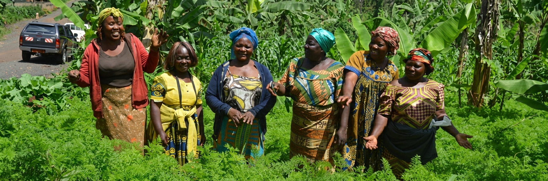 La Menoua vous connecte