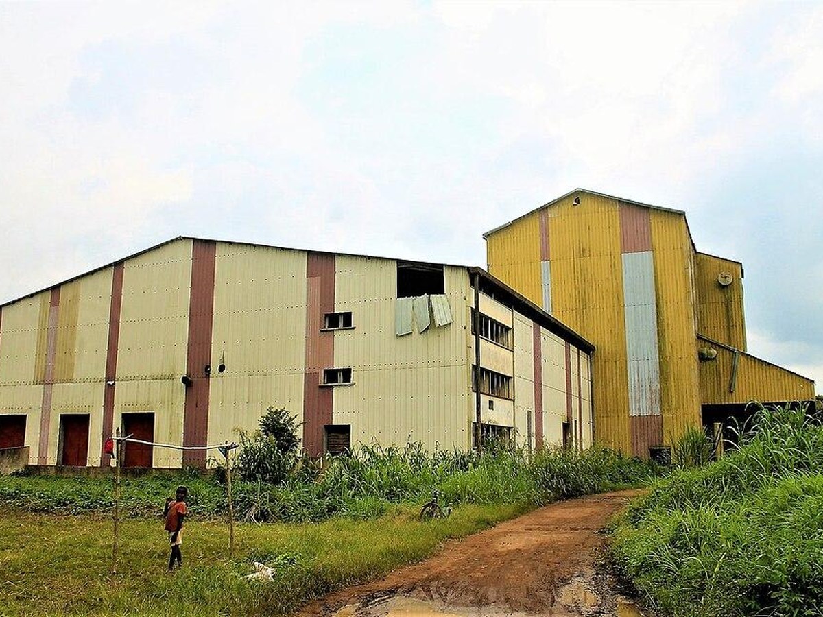Une terre agricole